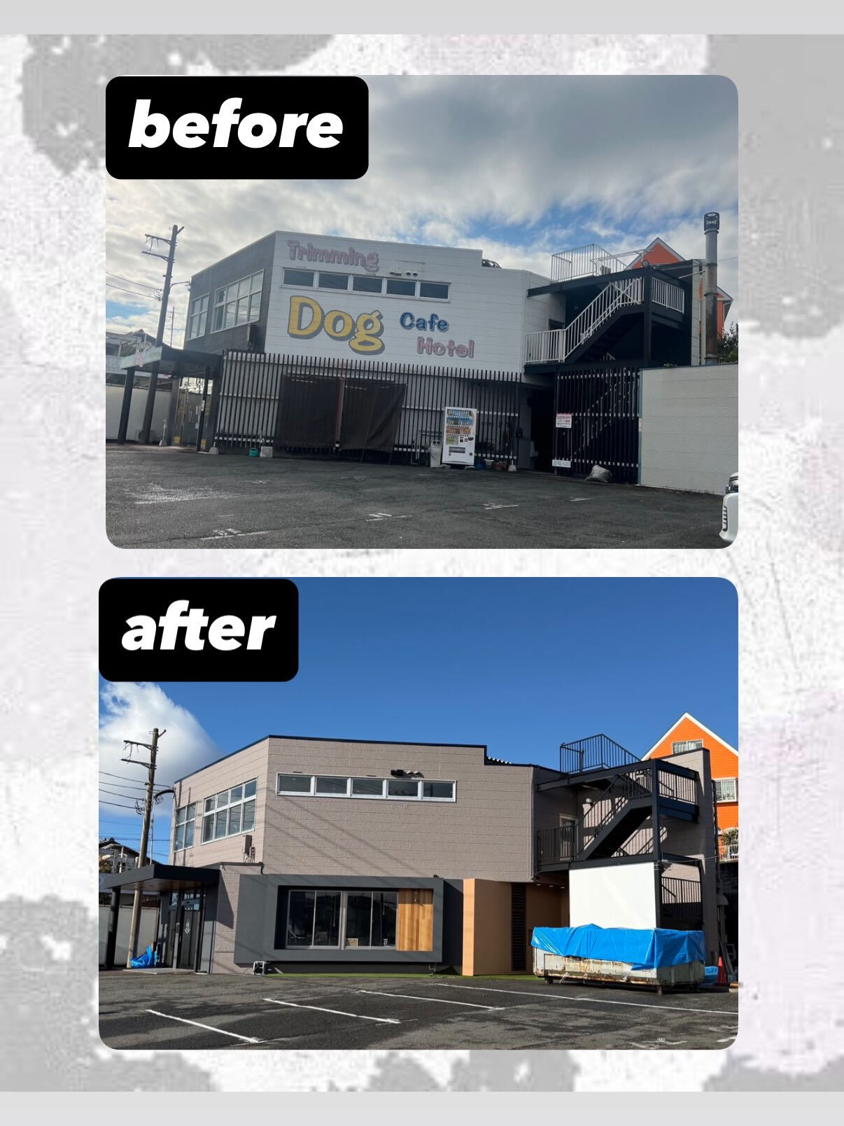 【神奈川県 厚木市】テナント改装工事🏢✨