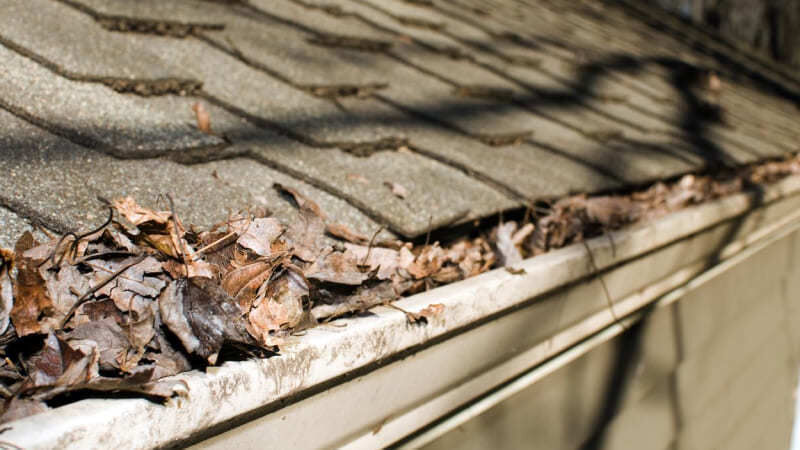 【厚木市×外壁塗装】🏠 雨樋の詰まり、放置していませんか？